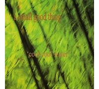 Small Good Thing - Cool Water