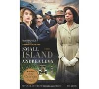 Small Island Andrea Levy (Auteur)