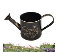 Small Metal Watering Can Long Spout Garden Water Pot Plant Waterer
