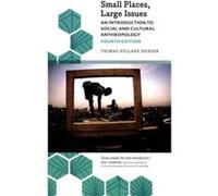 Small Places Large Issues by Thomas Hylland Eriksen Thomas Hylland Eriksen, (Auteur)