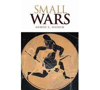 Small Wars: An Interpretive Analysis of Theory and Practice