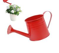 Small Watering Can for Indoor Plants - Controls Water Flow, Long Narrow Reach Spout, 1L Liquid Capacity + 260g Weight Token, Galvanised Iron Metal Jug - for Seedling Care & Home Garden