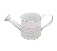 Small Watering Can with Spout - 27x12x12cm Metal Flower Design Handled Pot