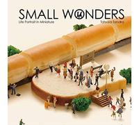 Tatsuya Tanaka : small wonders life portrait in miniature