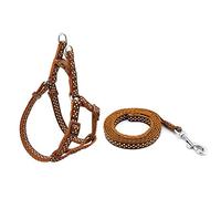 Smalllee Lucky Ranger 30,5 - 45,7 cm en Nylon pour Animal Domestique Chien Pois Sangle Harnais Laisse Ensemble