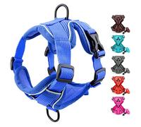 SMALLLEE_LUCKY_STORE Ensemble Harnais et Laisse Anti-Traction pour Chiot Chien de Petite et Moyenne Taille Clip Avant et arrière Maille Souple réfléchissante réglable, Bleu, Taille S