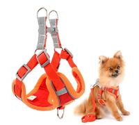 SMALLLEE_LUCKY_STORE Ensemble Harnais et Laisse en Daim Mignon pour Chiens de Petite et Moyenne Taille Clip Avant et arrière sans Traction réfléchissant Doux rembourré, Rouge, Taille S