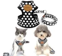 Smalllee_Lucky_Store - Ensemble Laisse en Nylon et Harnais en Maille Souple pour Chat et Chien Petit et Moyen