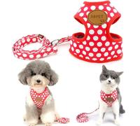 Smalllee_Lucky_Store - Ensemble Laisse en Nylon et Harnais en Maille Souple pour Chat et Chien Petit et Moyen