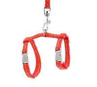 smalllee_lucky_store Harnais pour Animaux de Compagnie avec Laisse réglable pour Lapins Chats Chatons Collier réglable Laisse de Marche pour Petit Chien
