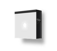 Smappee EV Wall Lite - 22 kW - triphasé - 32A - borne de recharge-EVWL-332-BR-E-W