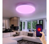 Smart Accueil Plafonnier RGB LED Intensité Variable Lumière Du Jour App Bain