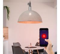 Smart Accueil RGB LED Luminaire Suspendu Dimmable Gris Google Alexa Lampe