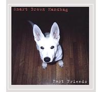 Smart Brown Handbag - Fast Friends