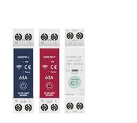 Smart Circuit Breaker MCB Timer 1P+N 63A Power Voltage Current Meter Protector Voice Remote Control Switch IINKUEYK(25A)