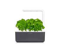 Smart Garden 3 gris foncé
