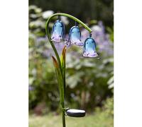 SMART GARDEN-Lampe solaire Jacinthe bleue