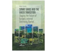 Smart grids and the green transition: Shaping the Future of Europe’s Internal Electricity Market