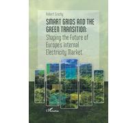 Smart grids and the green transition: Shaping the Future of Europe’s Internal Electricity Market