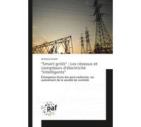 Smart grids" : Les réseaux et compteurs délectricité "intelligents - Anthony Ferretti - P.academiques Francophones - broché - Essai