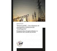 "Smart grids" : Les réseaux et compteurs d'électricité "intelligents": Émergence d'une ère post-carbonne, ou avènement de la société de contrôle