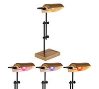 Smart Home Lampe de table à intensité variable Lampe de lecture Lampe de chevet, couleur or noir, 1x RGB LED 5W 470Lm blanc chaud froid, H 50 cm