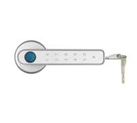 Smart Lock, Serrure de porte intelligente biométrique à empreintes digitales, serrure numérique électronique, mot passe, poignée sécurité sans clé for la maison(Silver)