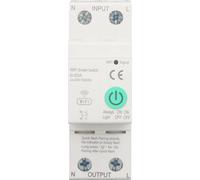 Smart Metering Leakage Switch Remote Control Sensitive 63A 2P Electrical Monitoring Circuit Breaker AC230V