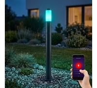 Smart RGB LED Extérieur Support de Lampe App Mobile Commande Google Alexa Jardin