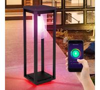 Smart RGB LED Extérieur sur Pied Lampe Alexa Google App Alu Jardin Cour Lanterne