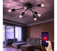 Plafonnier Smart RGB LED DIMMABLE rétro cage lampe de salon noir contrôlable par téléphone portable