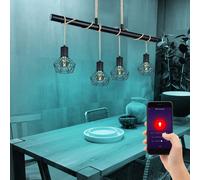 Smart RGB LED Rétro Cage Lampe Suspendue Google App Variateur Chanvre Alexa