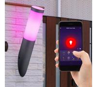 Smart RGB LED Torche Murale Lampe DIMMER App Extérieur Jardin ALEXA GOOGLE