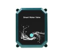 Smart Zigbee Electric Motorized Ball Water Valve Inox Garden Irrigation Remote Control(DN25)