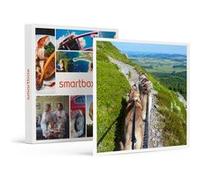 SMARTBOX - 3h30 de sortie en cani-rando avec des chiens nordiques dans les Monts d'Ardèche - Coffret Cadeau Sport & Aventure G