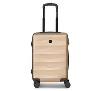 SMARTBOX Article standard Edition 03, taupe, Koffer S (55 cm), Classique