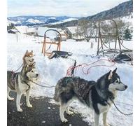 SMARTBOX - Balade de 2h30 en traîneau à chiens dans les Monts d'Ardèche - Coffret Cadeau Sport & Aventure G
