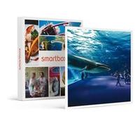 Coffret Cadeau - A la découverte des secrets de l'océan : 2 entrées adulte coupe-file à l'aquarium Nausicaá en basse saison- Sport & Aventure