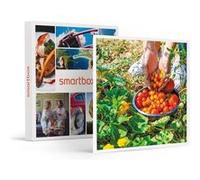 SMARTBOX - Coffret Cadeau Atelier écologique de permaculture et visite guidée d'une ferme à Montpellier-Sport & Aventure G