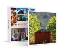 SMARTBOX - Coffret Cadeau Atelier Initiation et Dégustation Vin Biologique dans un domaine viticole-Gastronomie G