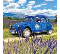 Smartbox - Coffret Cadeau - Balade Vintage en 2 CV dans Les Champs de Lavande et Visite de distillerie - idée Cadeau Originale