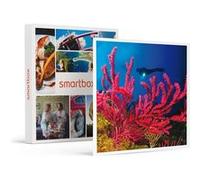 Baptême De Plongée Passionnant De 3h En Duo Au Large De Fréjus - Smartbox - Coffret Cadeau Sport & Aventure