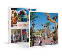 Coffret Cadeau SMARTBOX - Billet pour le Parc Astérix : 1 entrée enfant en 2026 - Billet pour le Parc Astérix : 1 entrée enfant en