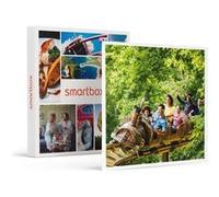 SMARTBOX - Coffret Cadeau Billets pour le Parc Astérix : 2 entrées adulte et 2 entrées enfant en 2026-Multi-thèmes