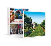 SMARTBOX - coffret cadeau couple - À la découverte de nos vignobles - idée cadeau originale - 1 visite de vignoble avec dégustation de vin pour 1 ou 2 personnes