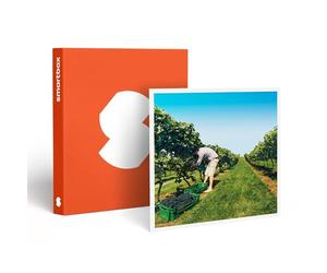 SMARTBOX - coffret cadeau couple - À la découverte de nos vignobles - idée cadeau originale - 1 visite de vignoble avec dégustation de vin pour 1 ou 2 personnes