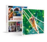 Journée Découverte Au Parc Zoologique D'amnéville Pour 5 Personnes - Smartbox - Coffret Cadeau Multi-Thèmes