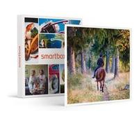 Leçon D'équitation Ou Agréable Balade À Cheval - Smartbox - Coffret Cadeau Sport & Aventure