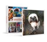 Tanière Zoo Refuge : Immersion Avec Les Herbivores Pour 2 Personnes - Smartbox - Coffret Cadeau Multi-Thèmes