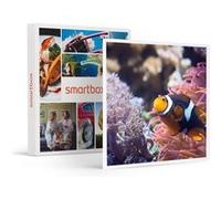 Coffret Cadeau SMARTBOX - Visite de l’Aquarium Sea Life de Val d’Europe- Sport & Aventure G